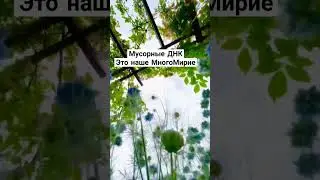Научно доказана наша  Многомерность,интуиция 