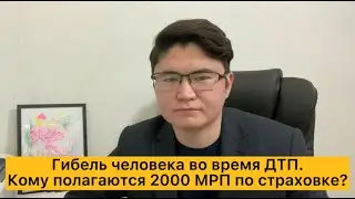 Страховая выплата за вред причиненный жизни человека после ДТП | Кому полагаются 2000 МРП?