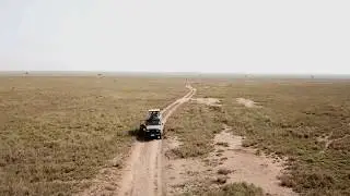 Elephant Drone Flyover in the Serengeti (Tanzania)