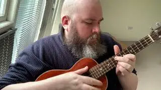 Rise (Eddie Vedder Ukulele Cover)
