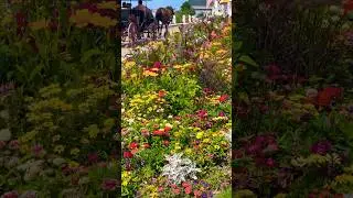 The most beautiful gardens are on Mackinac Island! #mackinacisland #gardentour #garden #flowers