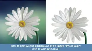 How to Remove the background of a photo or image in Canva