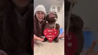 giant chocolate bear 🧸🍫💝