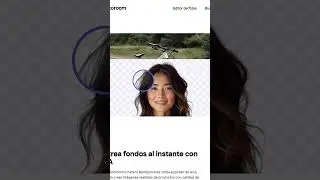 Pagina para creadores de contenido