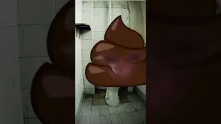 10 Самые мемные видео про какашки