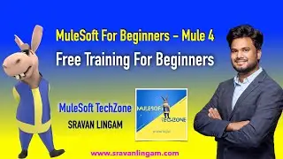 MuleSoft Training For Absolute Beginners