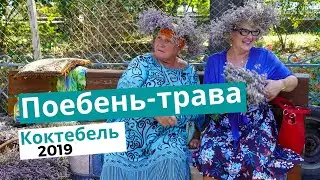 Поебень-трава в Коктебеле