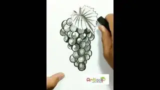 DRAWING REALISTIC GRAPE