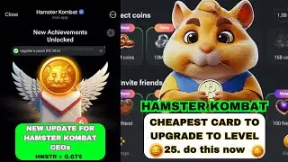 Cheapest Card to Upgrade to Level 25 in Hamster Kombat - DO THIS NOW!