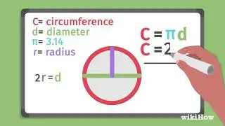 How to Calculate the Circumference of a Circle