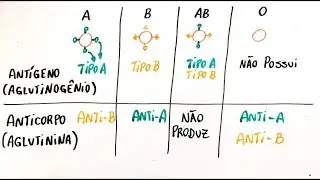 Sistema ABO e fator Rh (Parte I) - Resumo Professor Gustavo