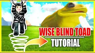 WISE BLIND TOAD QUEST GUIDE | Elemental Dungeons | Double Jump Tutorial