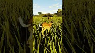 Taunting Lion as an Impala | Wild Savannah Roblox