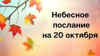 Небесное послание на 20 октября. Лучшие перемены.