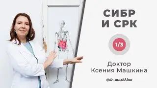 СИБР и СРК | Симптомы, диагностика, принципы лечения