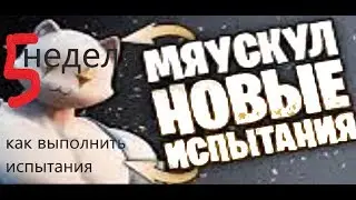 Как выполнить все испытания 5 недели мяускула фортнайт. План мистера мяускула фортнайт. Крендель!!!!