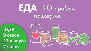 10 правил прикорма - Доктор Комаровский