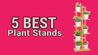 5 Best Plant Stands in 2023