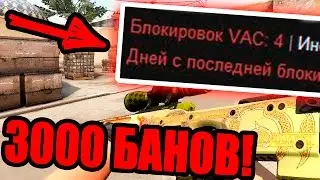 ШКОЛЬНИК ЗАБАНИЛ 3000 ЧИТЕРОВ В КС ГО | КАК ДАВАТЬ VAC БАН ДРУГИМ ЛЮДЯМ В CS GO