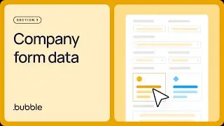 Company form data: Getting started with Bubble (Lesson 3.8)