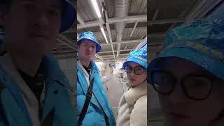Что продается в ИКЕЕ в Америке?