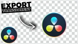 EXPORT With A Transparent BACKGROUND In Davinci Resolve