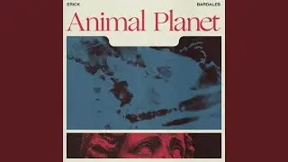 Animal Planet