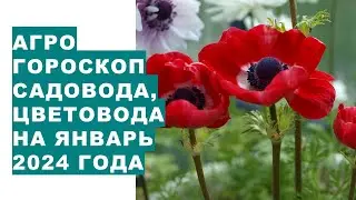 Agrohoroscope for gardeners and flor for January 2024