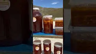 Натуральный и очень полезный горный Дагестанский мёд