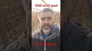 Путь к успеху день 25