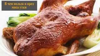 Мясо утки польза и вред