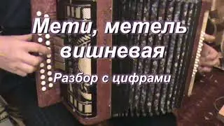 Мети, метель вишневая ( гармонь с цифрами)