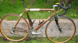 Bamboo Bicycle Longterm Review