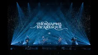 쏜애플(THORNAPPLE) - 2월 (February) '피카레스크' Live ver.