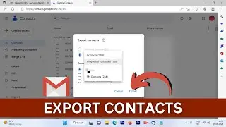 Gmail Contacts Export | How to Export Google Contacts to CSV?