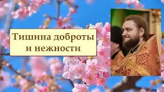 ТИШИНА ДОБРОТЫ И НЕЖНОСТИ. Отец Савва (Мажуко).