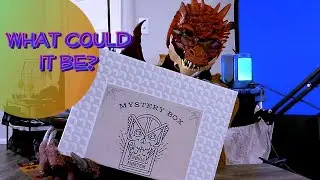 Showing Off the New Additions to the Hoard || [Furry ASMR]