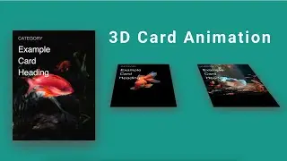 CSS Card Hover Effects | HTML & CSS