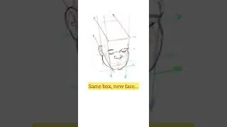 Learn how to draw heads at any angle! #drawing #anatomy #sketching