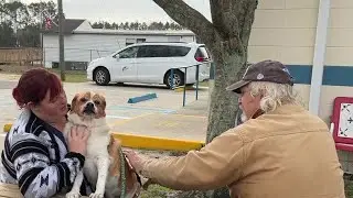 Wakulla Animal Services gets $35k for improvements to their facility