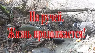 На ручей. Жизнь продолжается