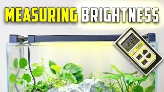 Explaining Aquarium Lighting for Growing Plants (PAR Explained)