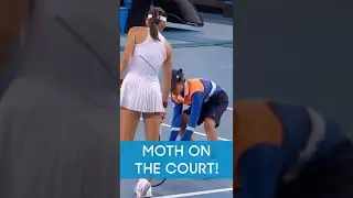 BALLKID v MOTH! 😂