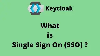 What is Single Sign On (SSO) ?