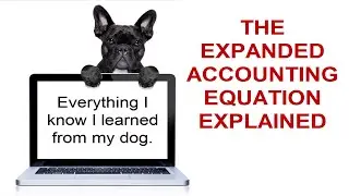 Module 1 - The Expanded Accounting Equation Explained