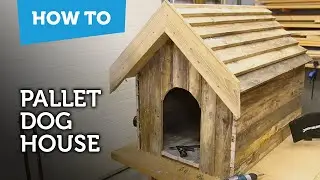 How to build a dog house with recycled pallets