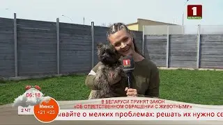Добрай раніцы, Беларусь! Об ответственном обращении с животными