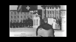 В Архангельской области пьяная сотрудница вокзала 