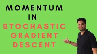 Momentum in SGD|Understanding Momentum in stochastic gradient descent