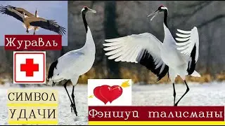 Талисман счастья и удачи/Оберег на удачу в работе/Оберег на здоровье/Фен шуй любовь и брак/Журавли